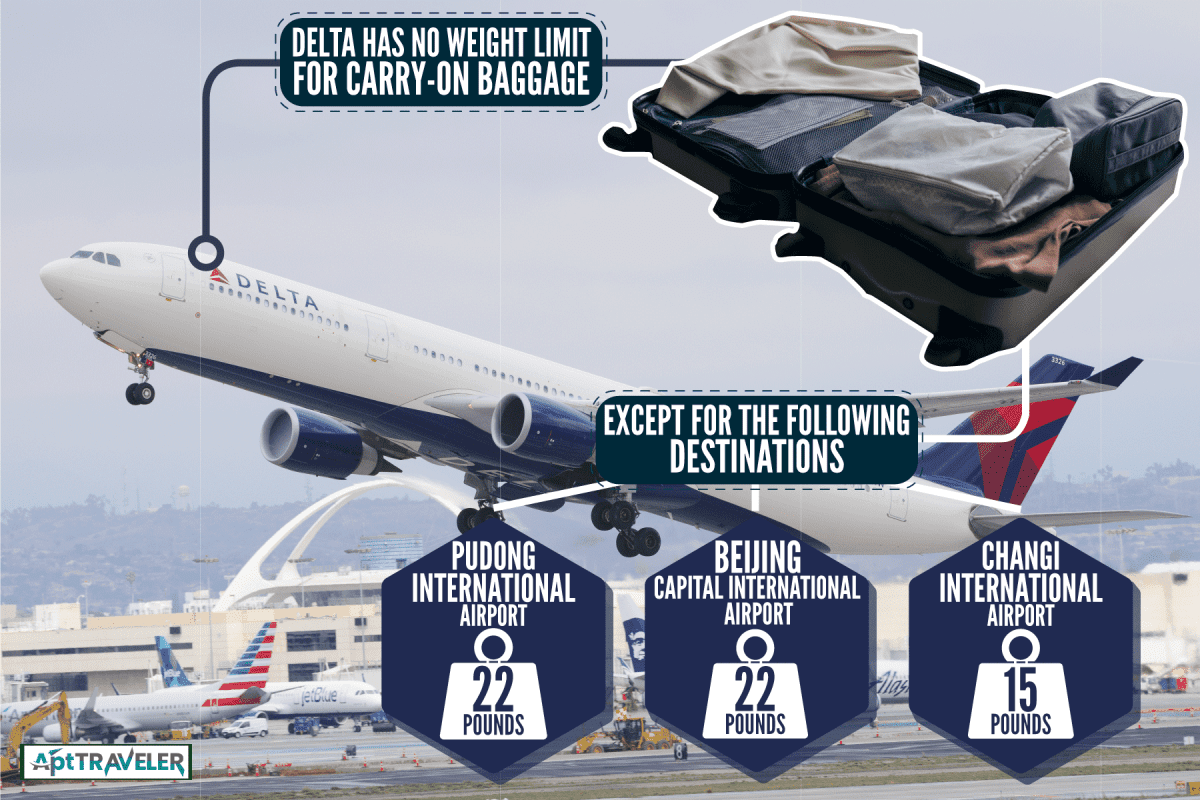 Delta airlines taking off, What Is The Weight Limit For A Carry-On Bag For Delta?