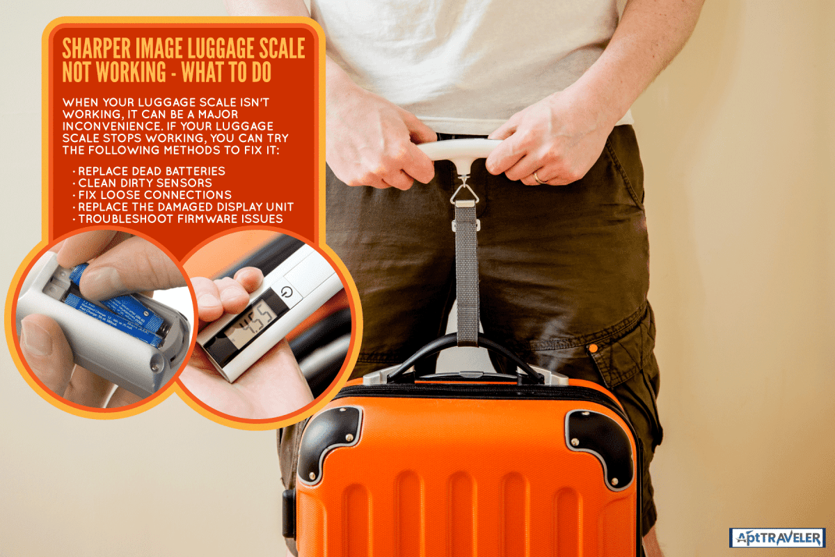 a man-tourist-using-digital-luggage-scale, Sharper Image Luggage Scale Not Working - What To Do?